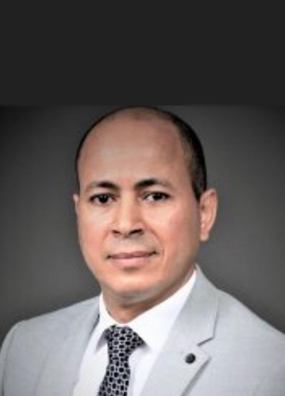 نائب الرئيس